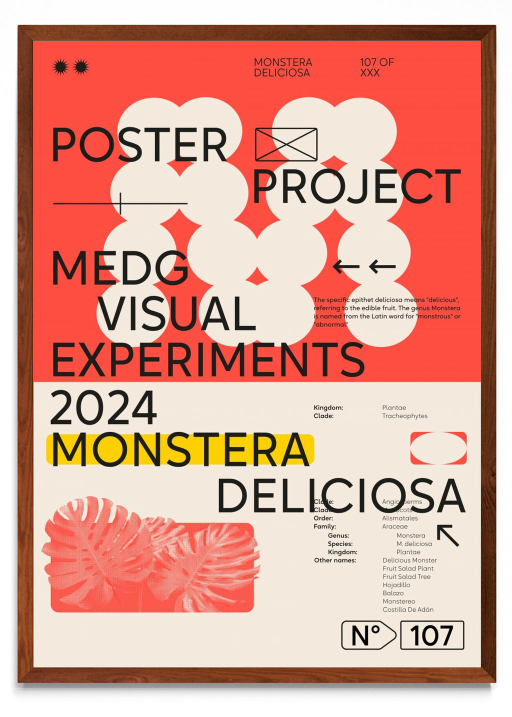 Monstera Deliciosa - Retrato MO