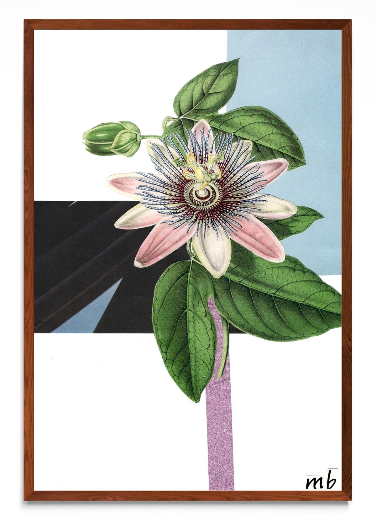 Obra “Serie botánico3” - FotoV MO