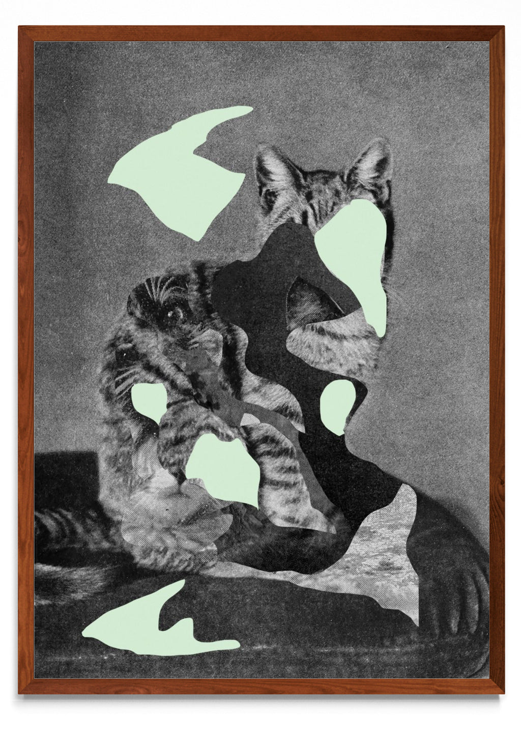 Gato - Retrato MO