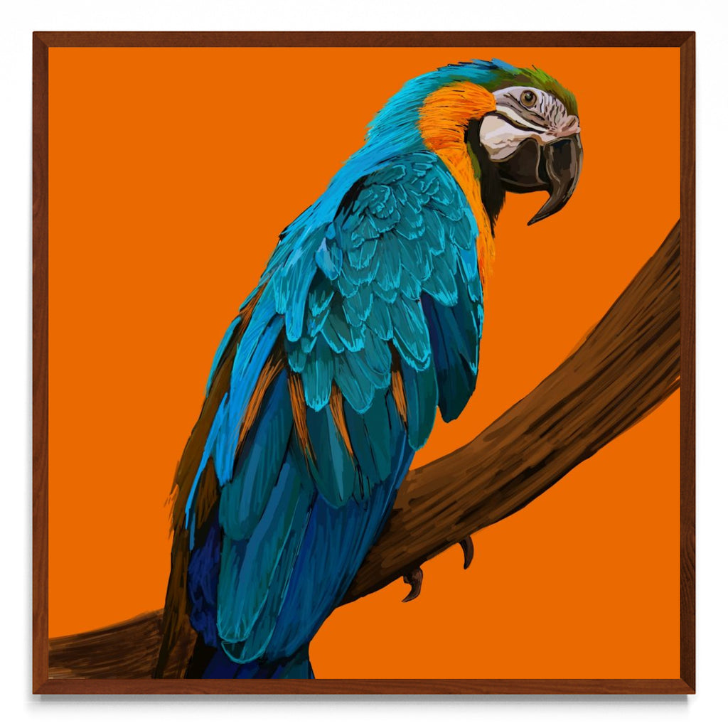 Animal #1 - cuadrado MO