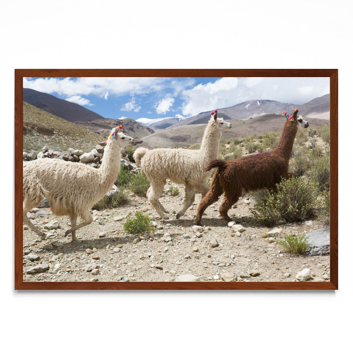 Tres llamas - FotoH MO