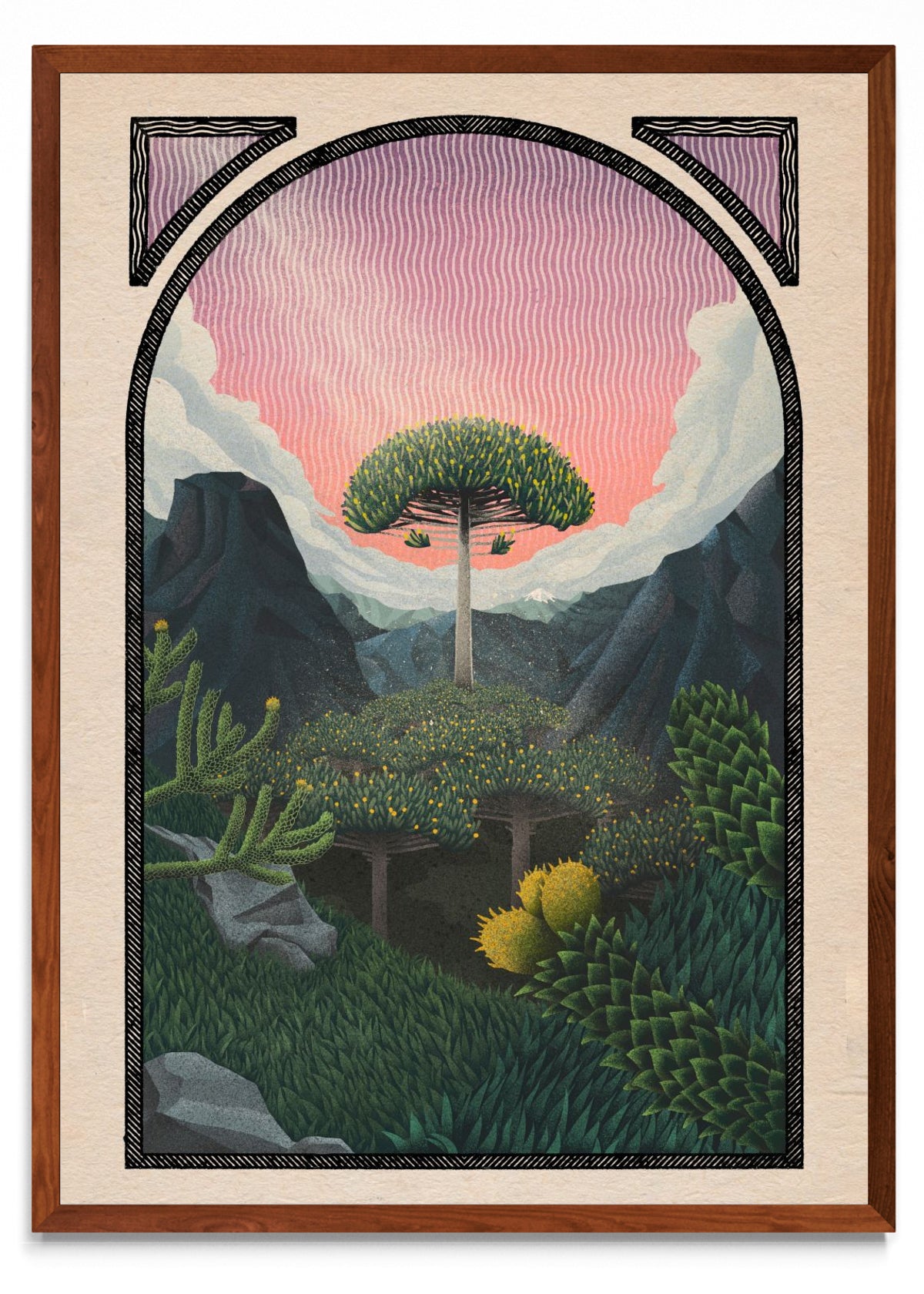 Trees of life - araucaria - Retrato MO
