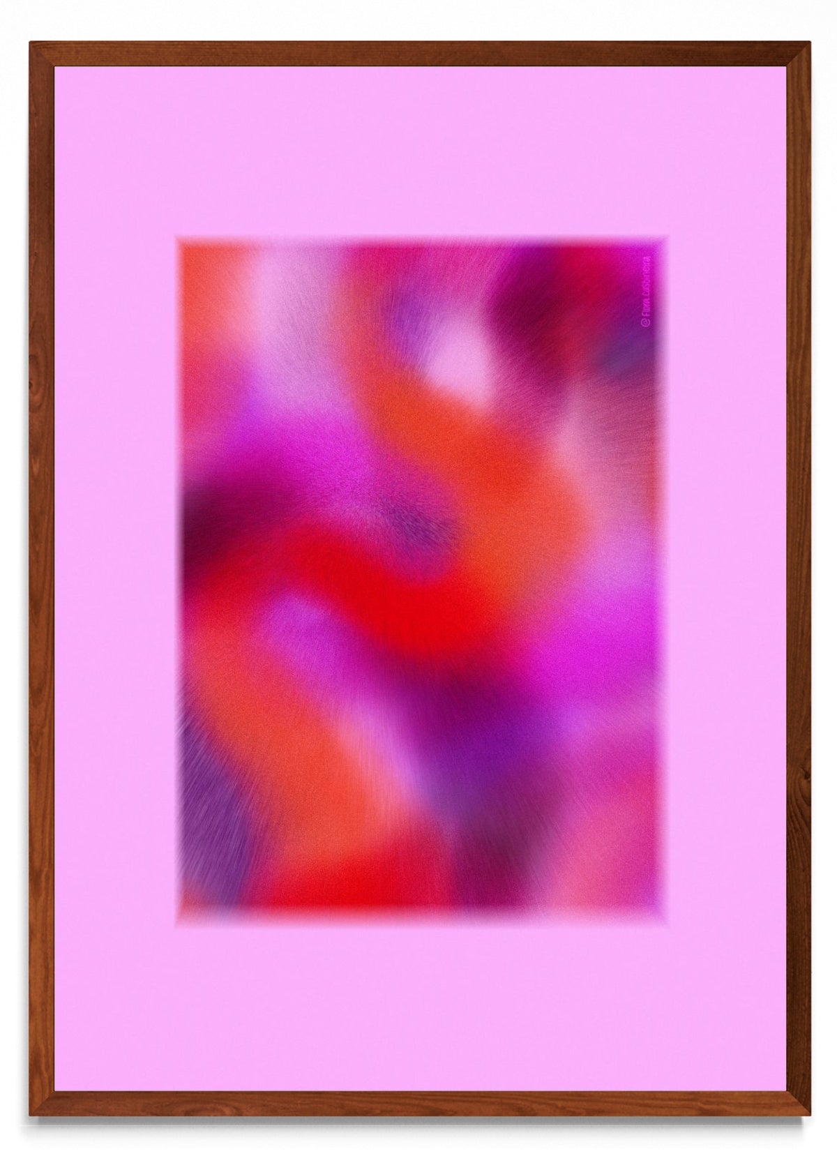 Wiggly rosa - Retrato MO