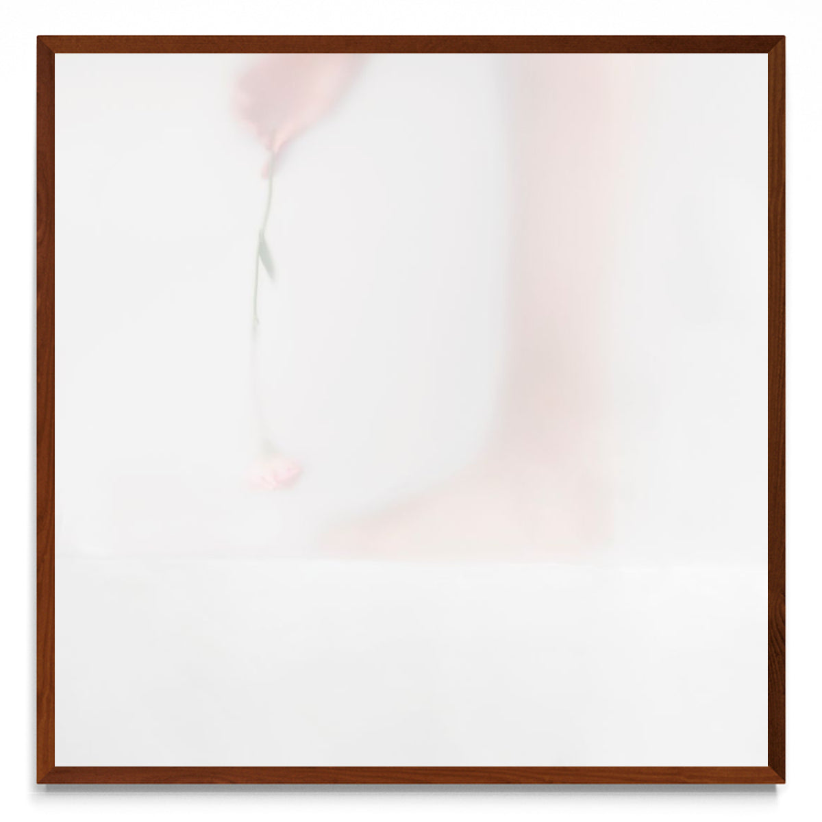 Aromas cotidianos - ritual II - cuadrado MO