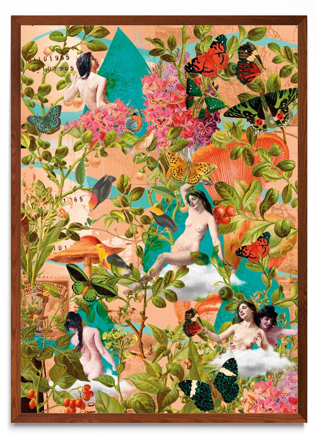 Conte de papillon - Retrato MO