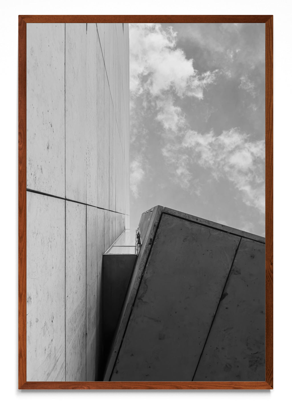 Malba. - FotoV MO