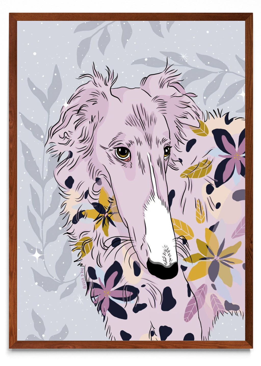 Galgos Mágicos - Retrato MO