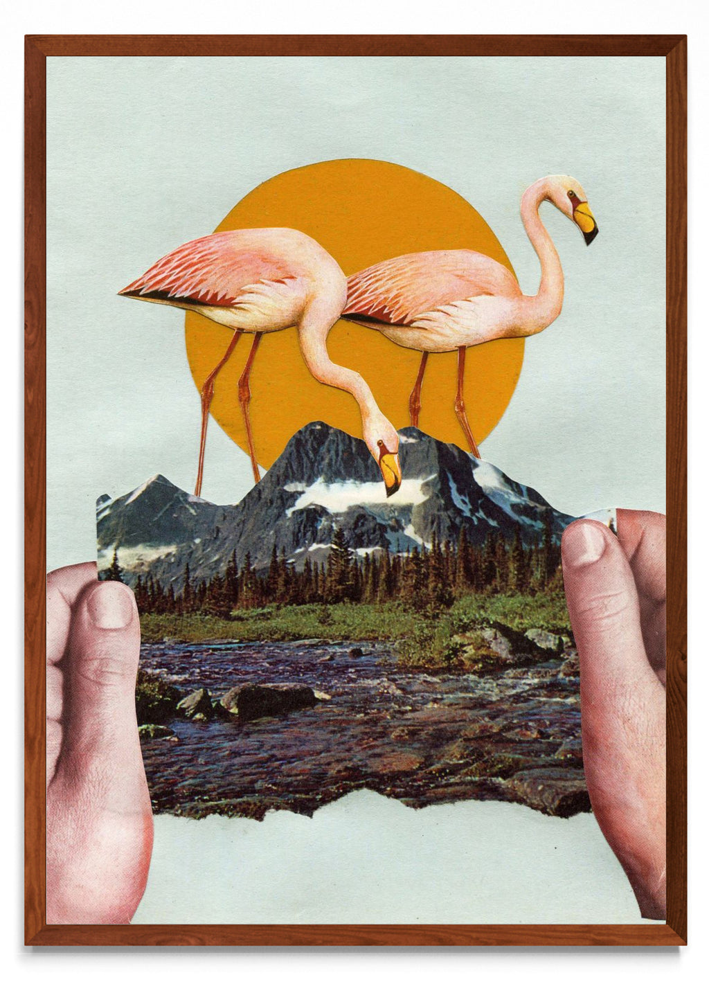 Cuentos de la Patagonia. - Retrato MO