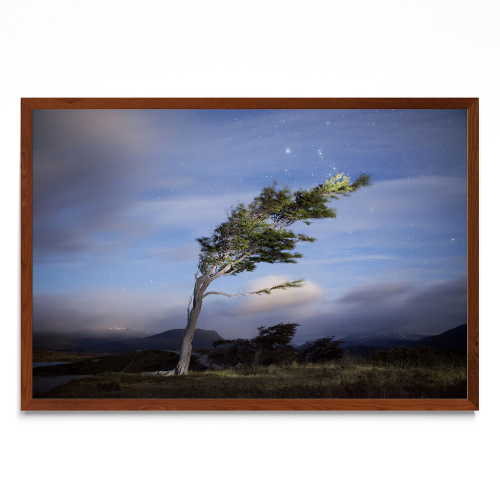 La caricia del viento - FotoH MO