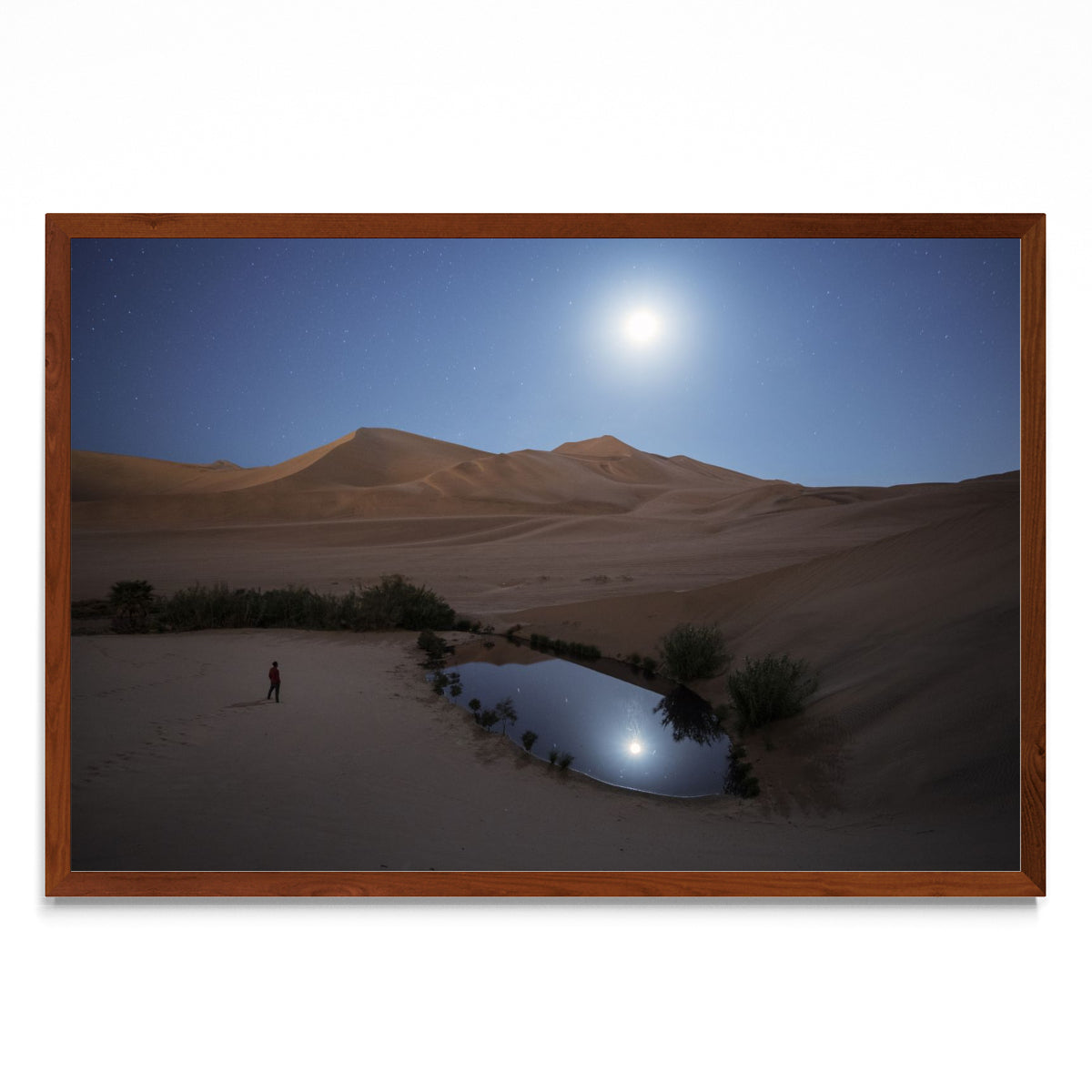 Oasis bajo la luz de la luna - FotoH MO