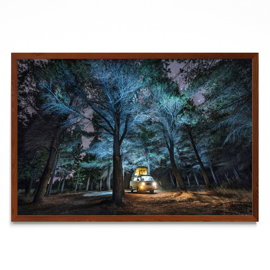 Bosques encantados - FotoH MO
