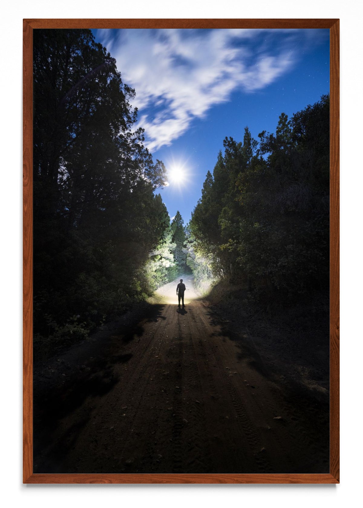 Camino de luna - FotoV MO