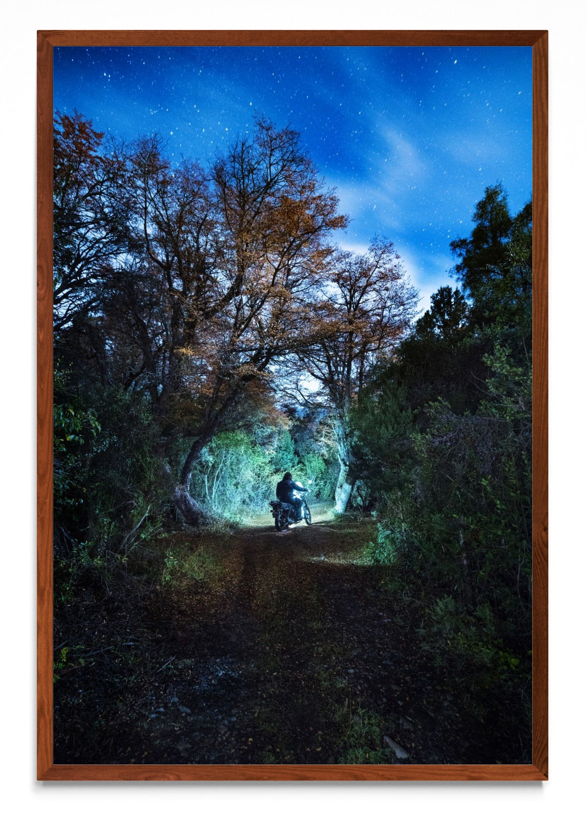 Caminos de Libertad - FotoV MO