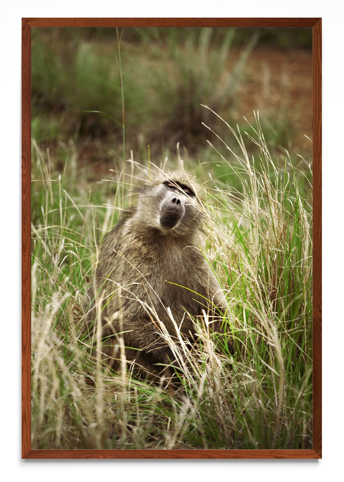 La caricia del viento - FotoV MO