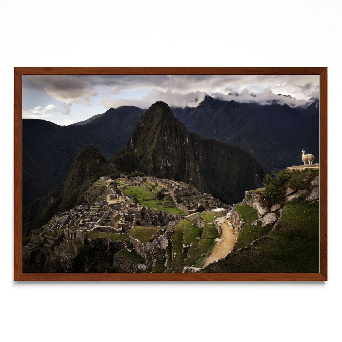 Machu Picchu - FotoH MO