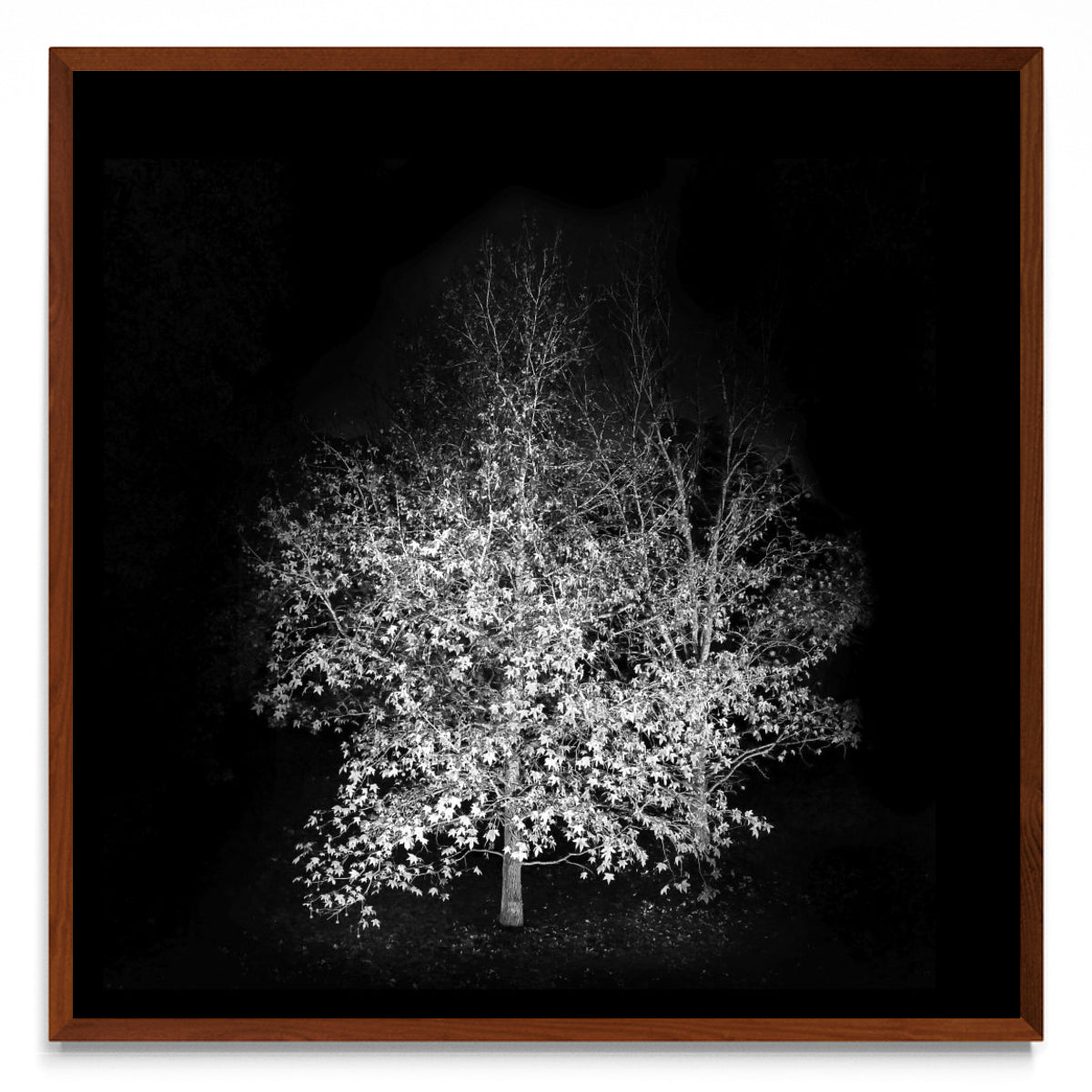 Noche de otoño. - cuadrado MO