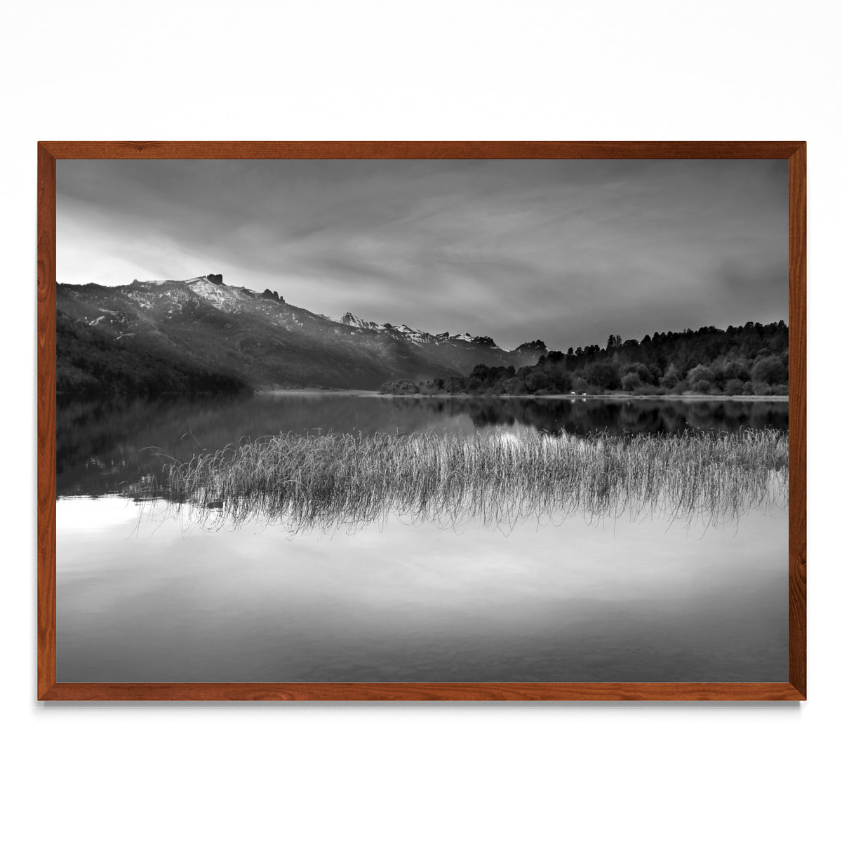 Contemplar la inspiración. - Paisaje MO