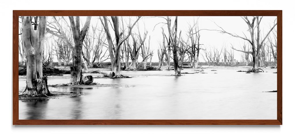 Suspiros de invierno. - Pano H MO