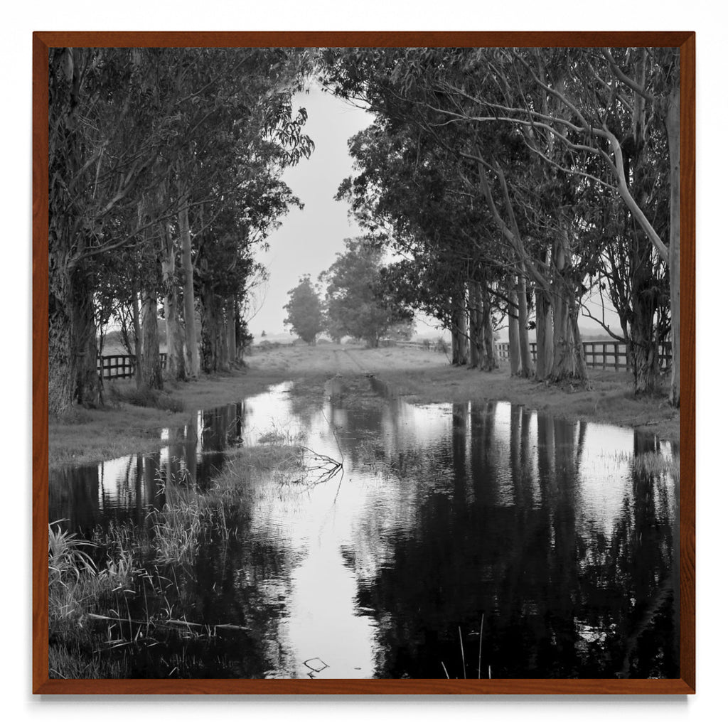 Reflejos del cielo. - cuadrado MO