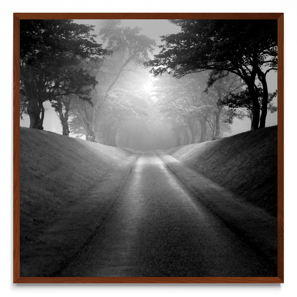 Memorias de un camino. - cuadrado MO