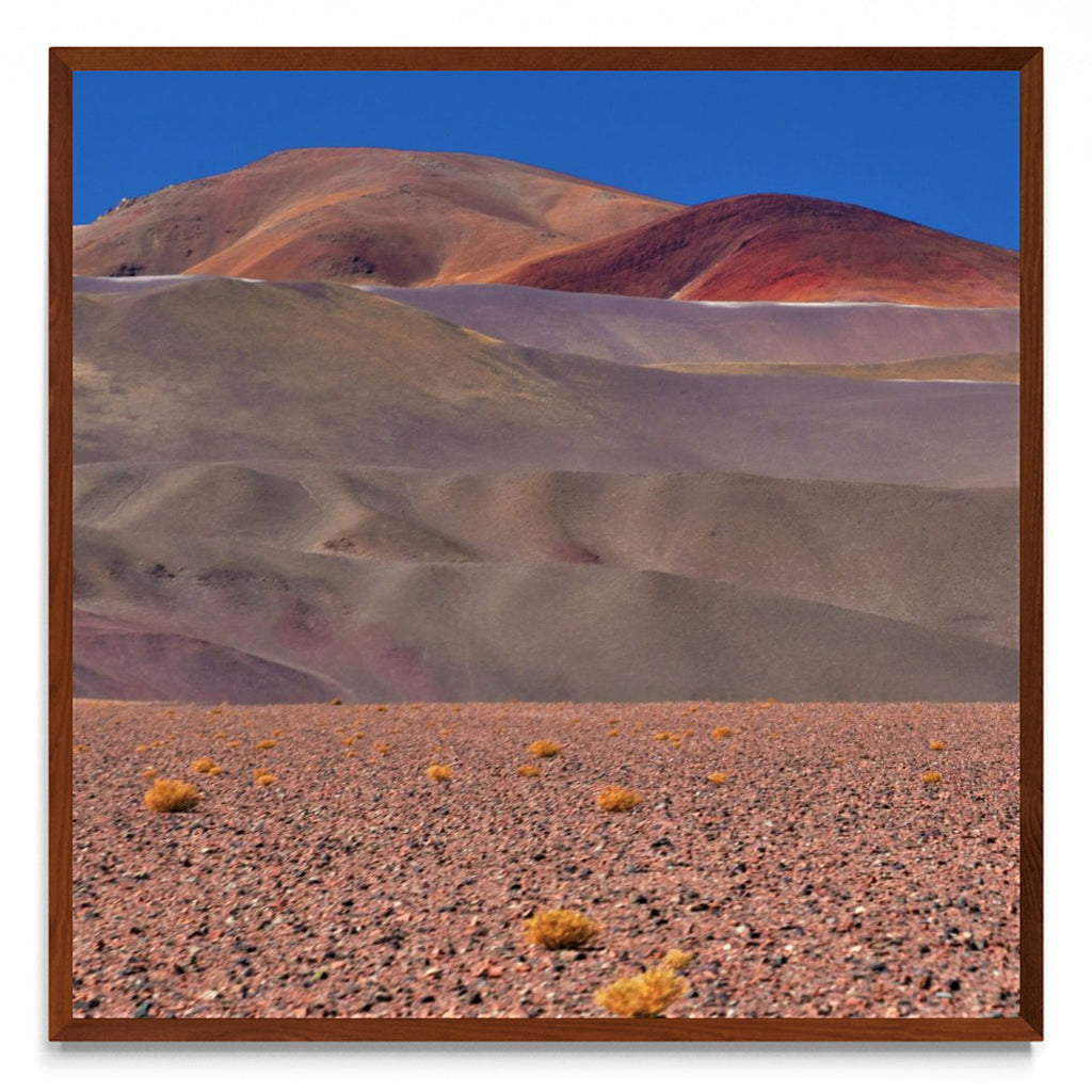 Los Seismiles - Ruta 60 -2 - cuadrado MO