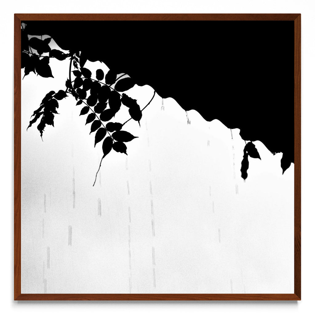 Lluvia en Blanco y Negro - 1 - cuadrado MO
