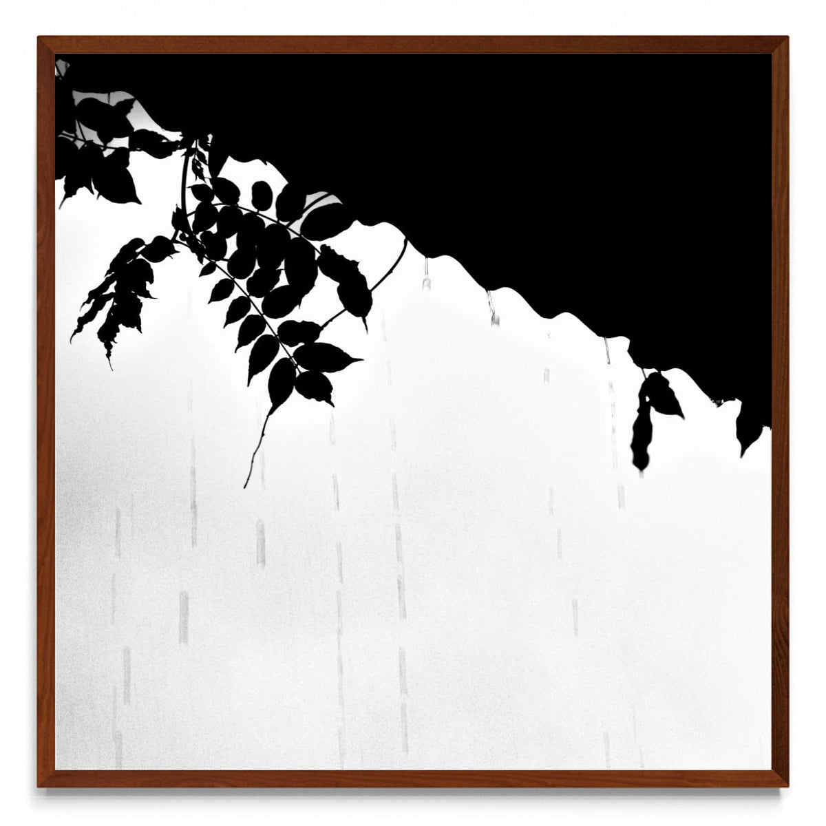 Lluvia en Blanco y Negro - 1 - cuadrado MO