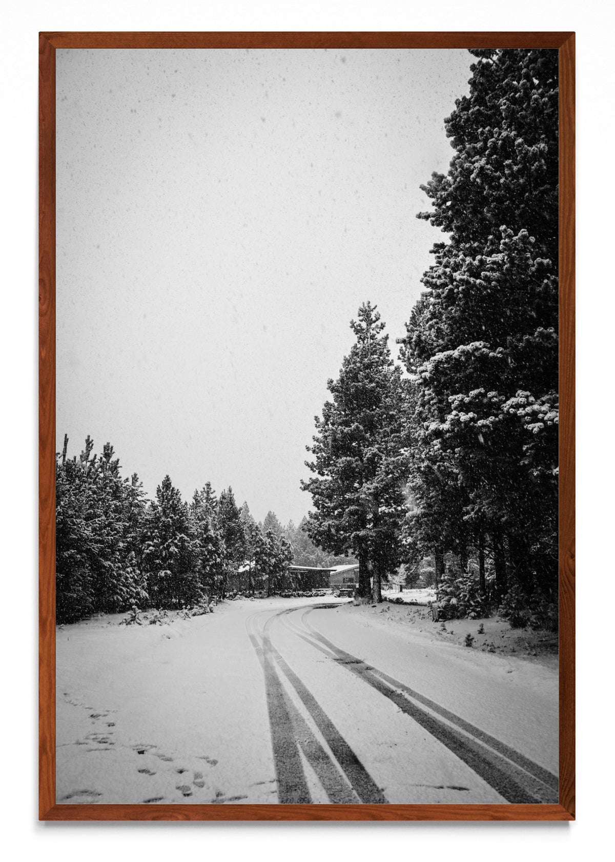 Invierno Patagónico - FotoV MO