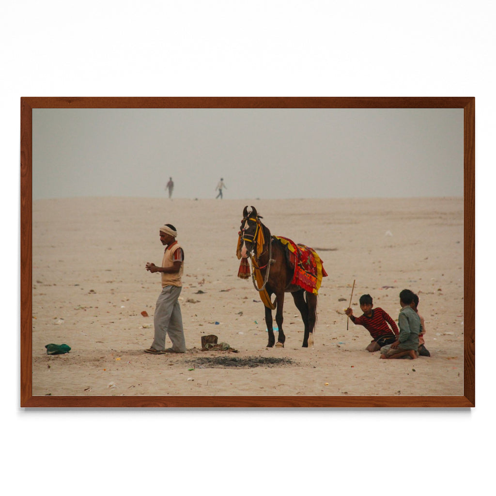 Caballo en Varanasi - FotoH MO