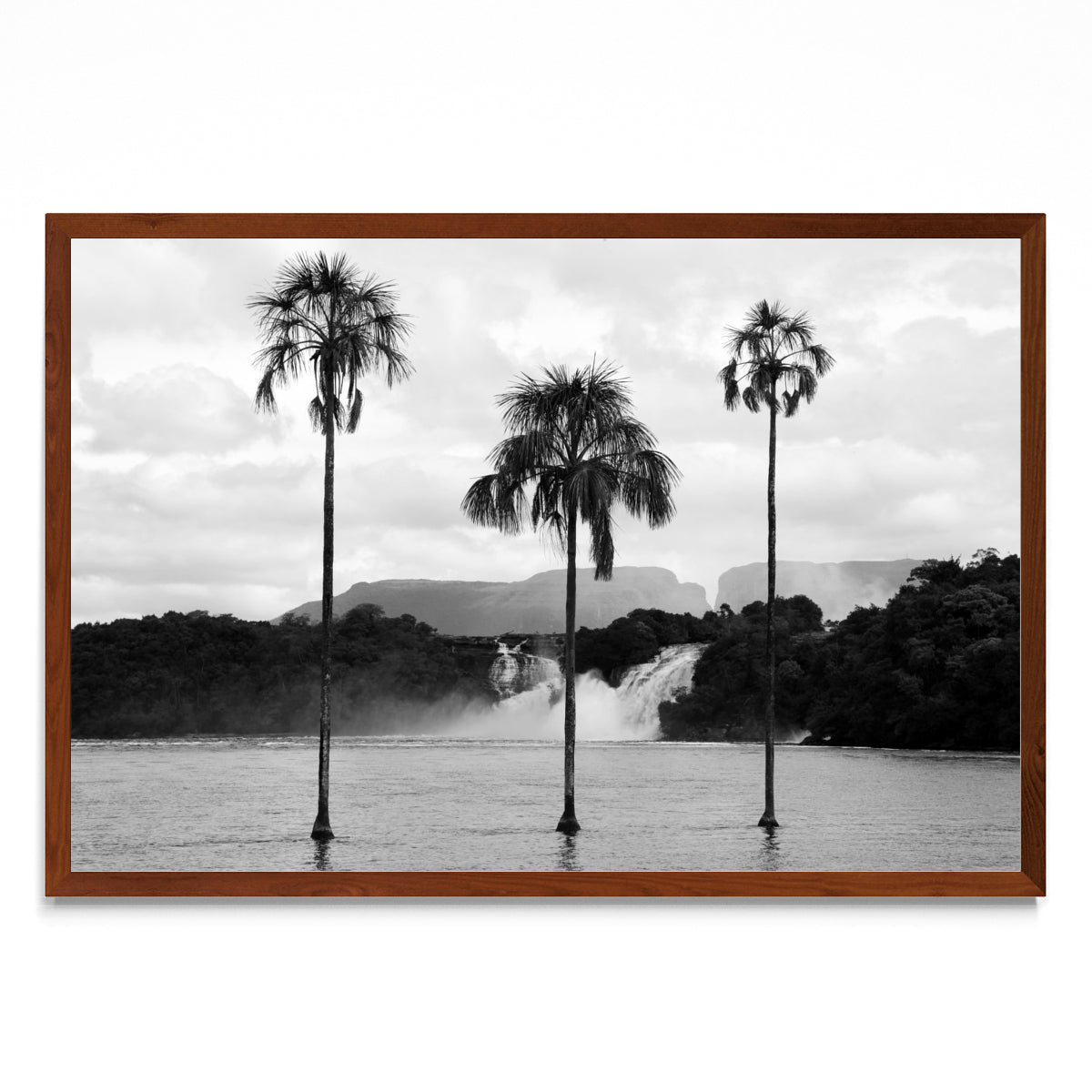 CANAIMA - FotoH MO