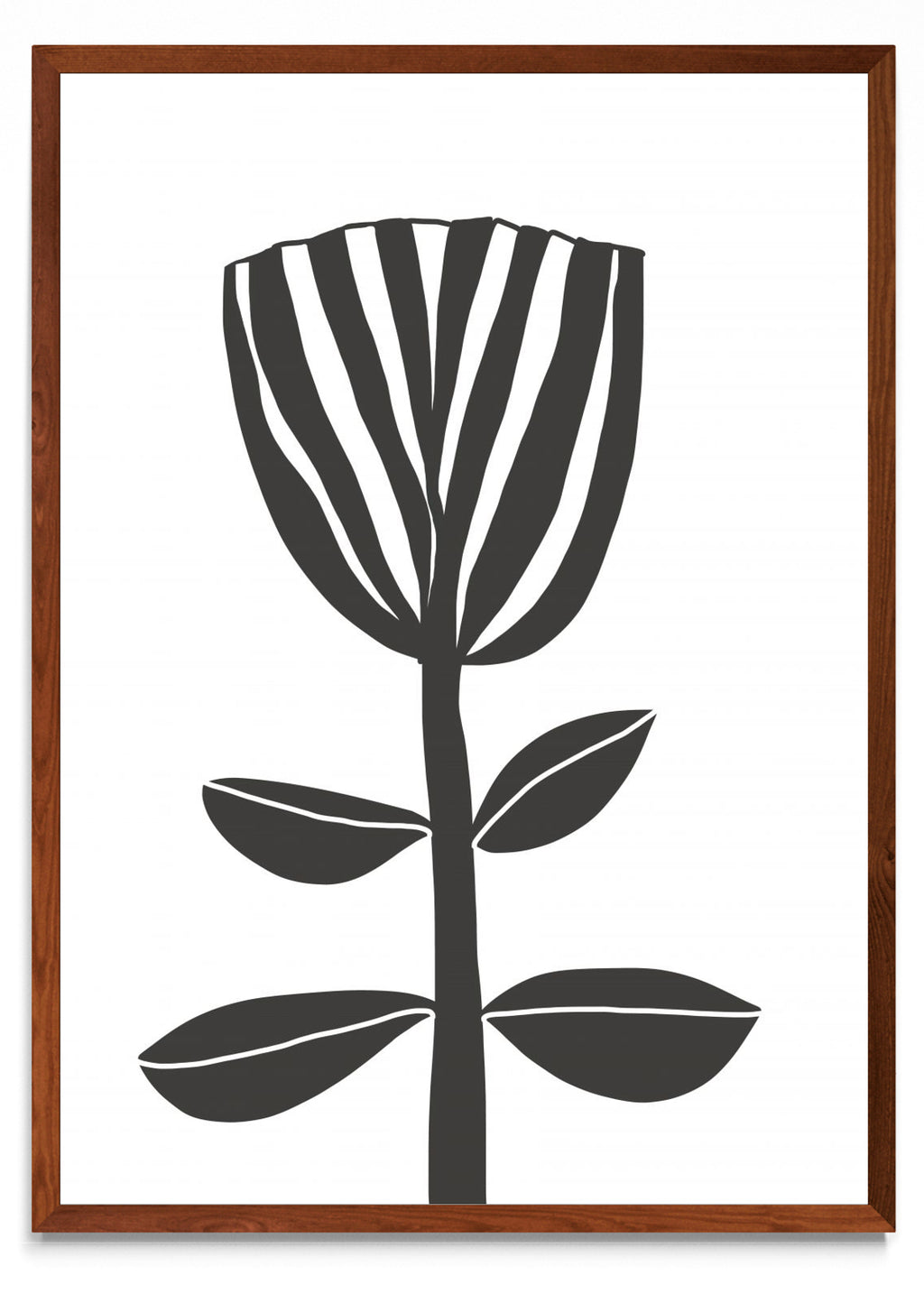 TULIPE - Retrato MO