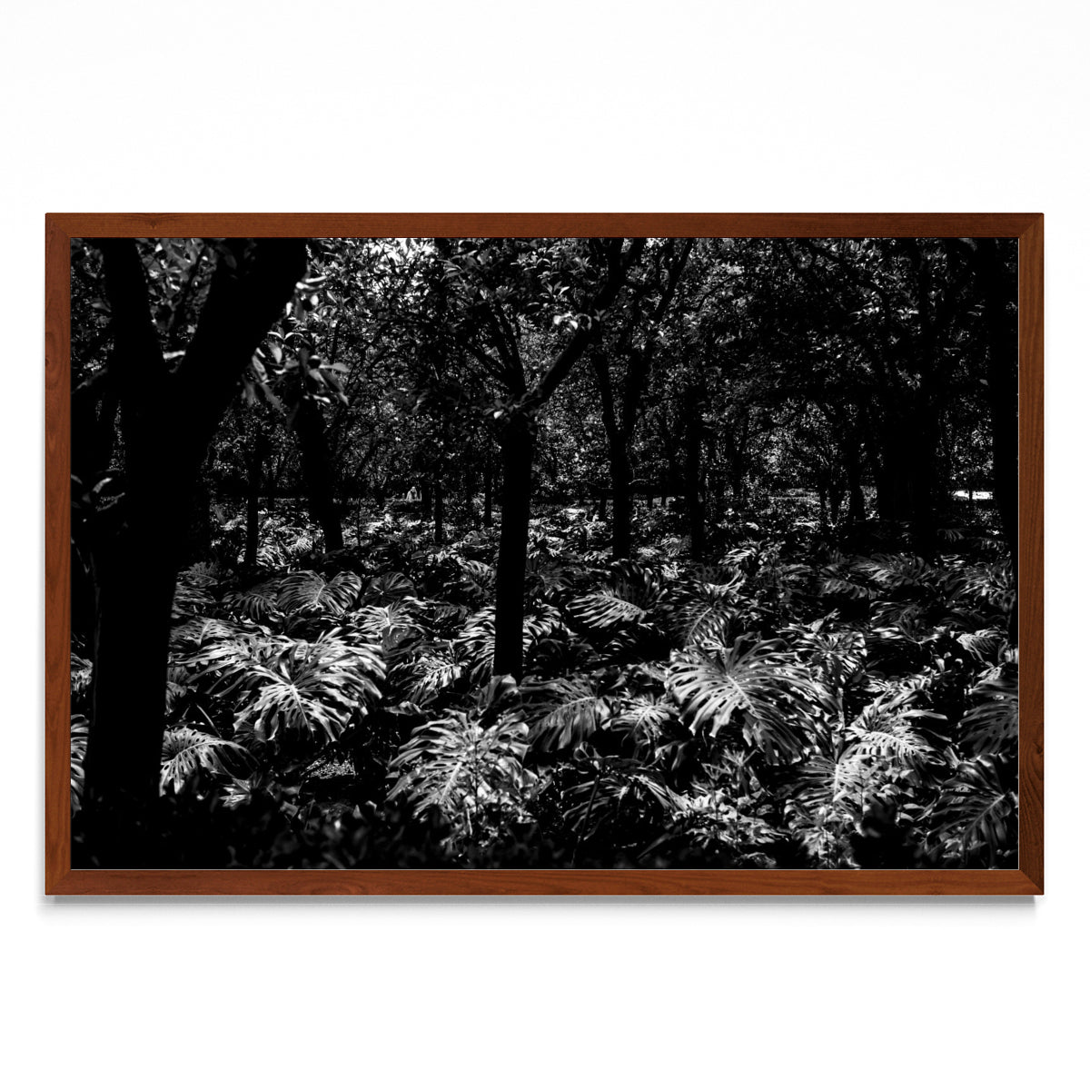 Jardines Reales - FotoH MO