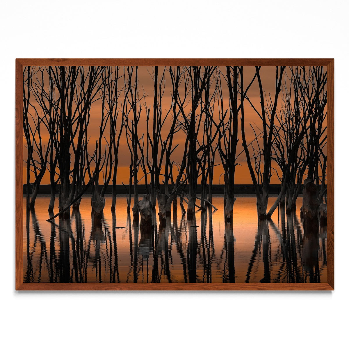 Mejor morir de pie... - Paisaje MO