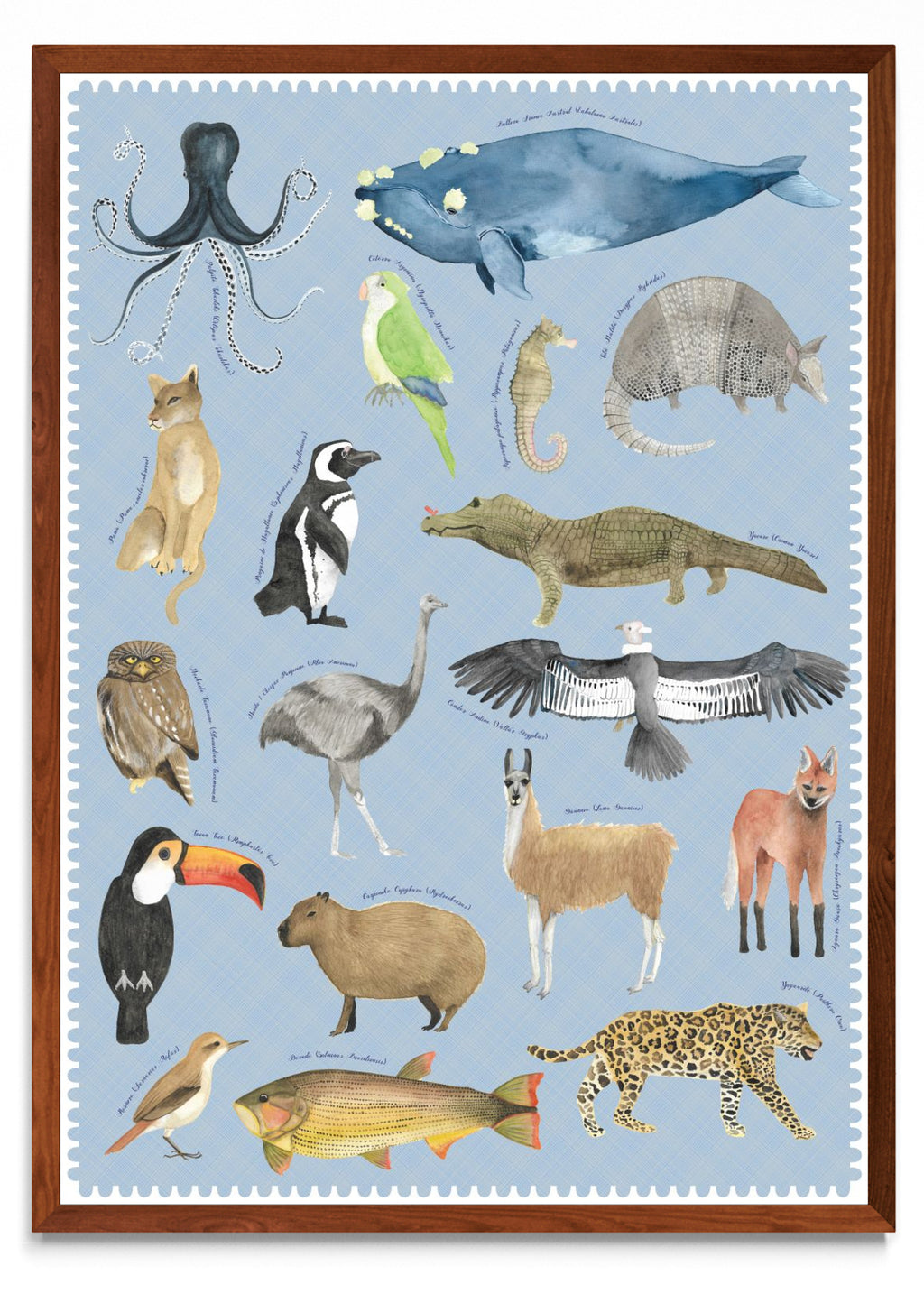 "Postales del Fin del Mundo" - Fauna Argentina - Retrato MO