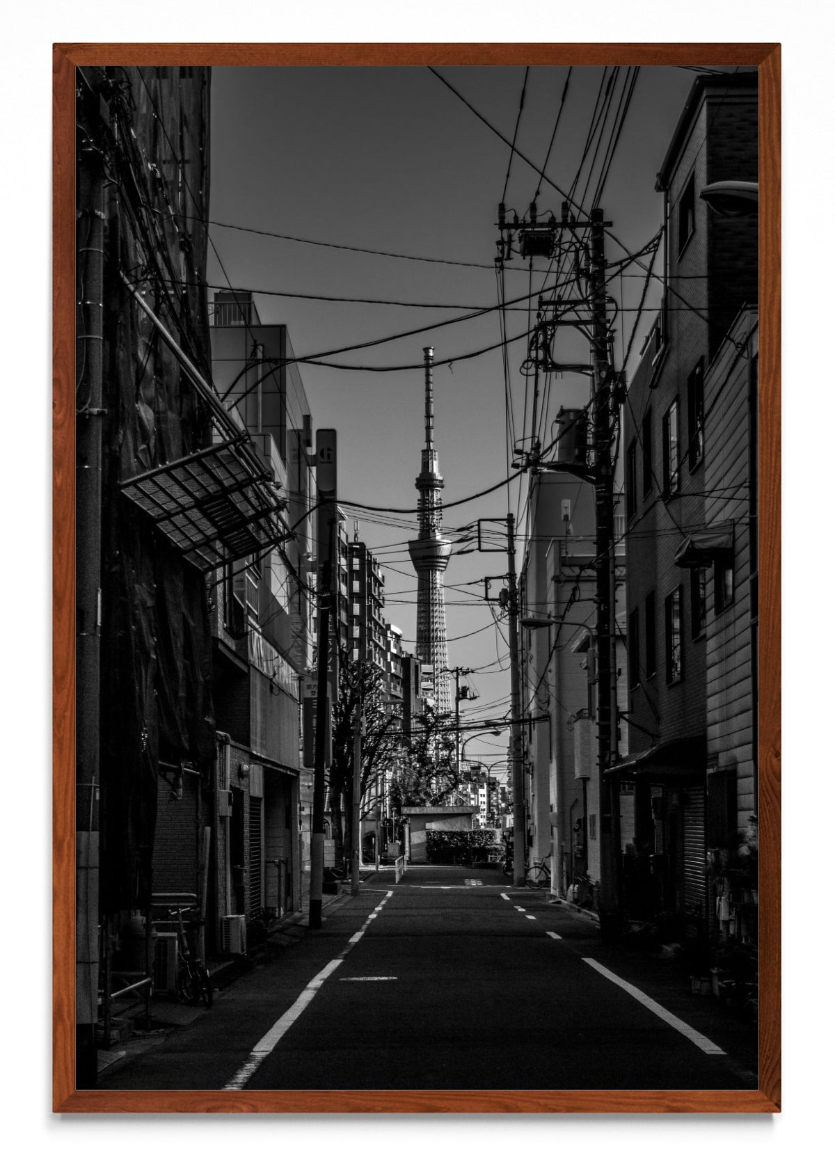 Sky Tree - FotoV MO