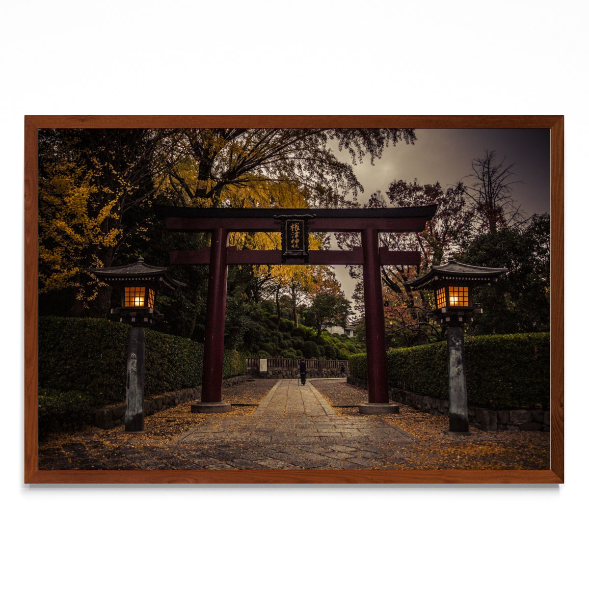 Nezu Shrine - FotoH MO