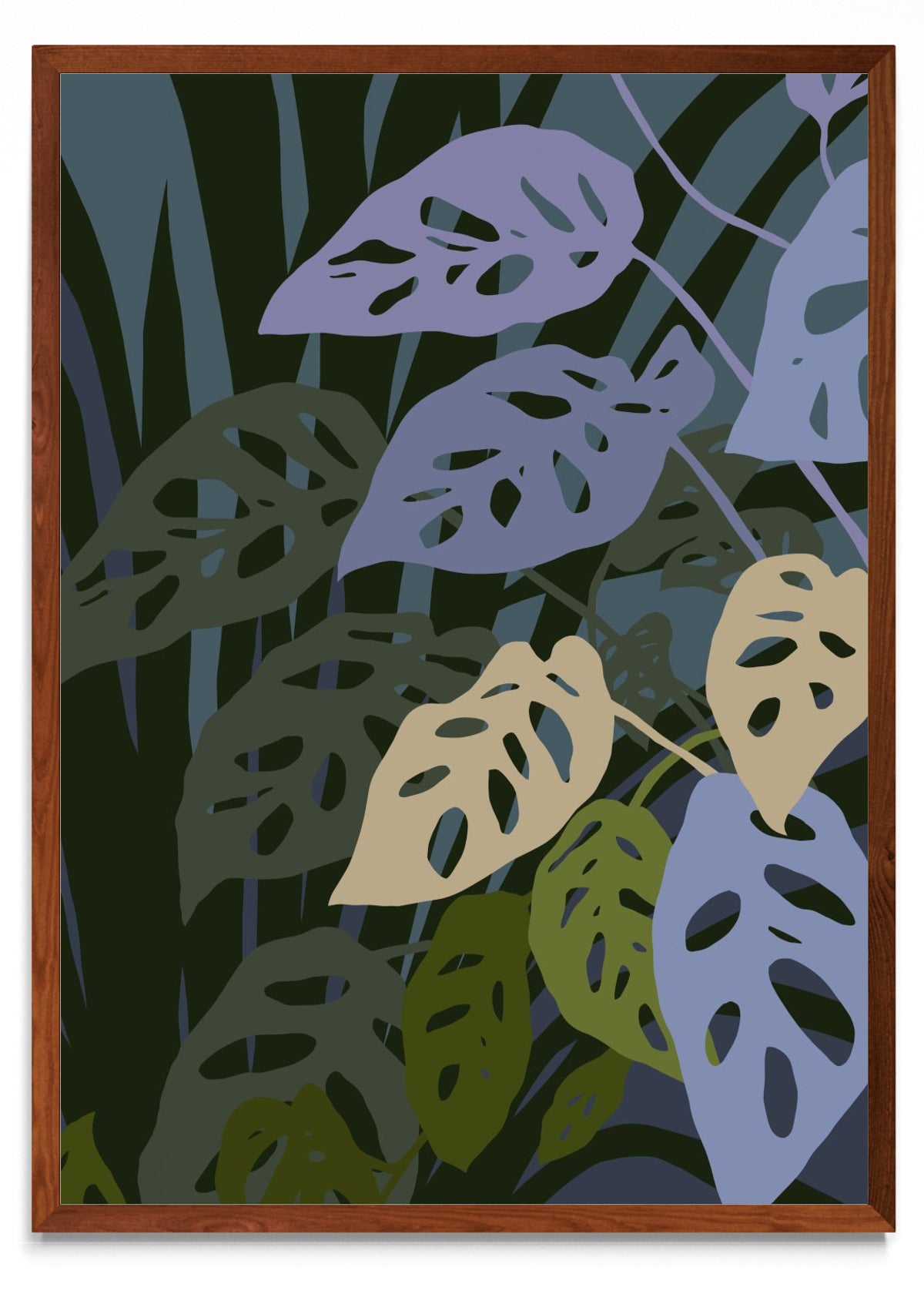 La monstera Adansonii - Retrato MO