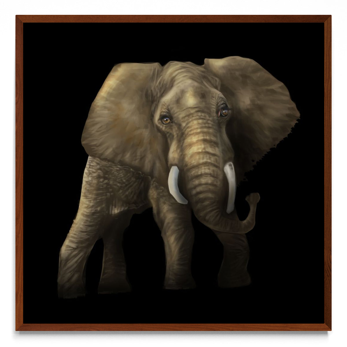 Tantor - cuadrado MO