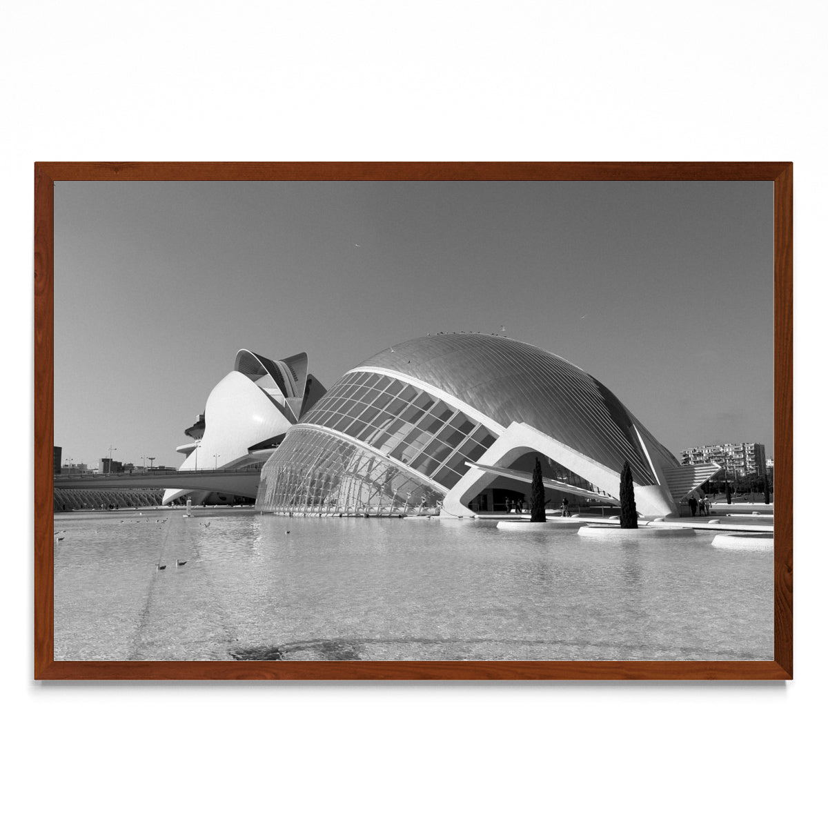 Ciudad de las Artes y las Ciencias - FotoH MO