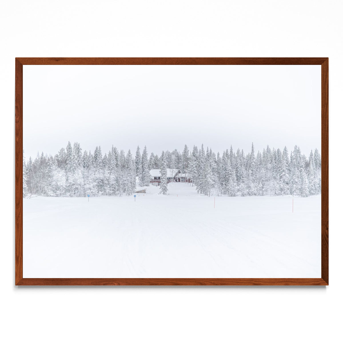 Lonely Winter - Paisaje MO