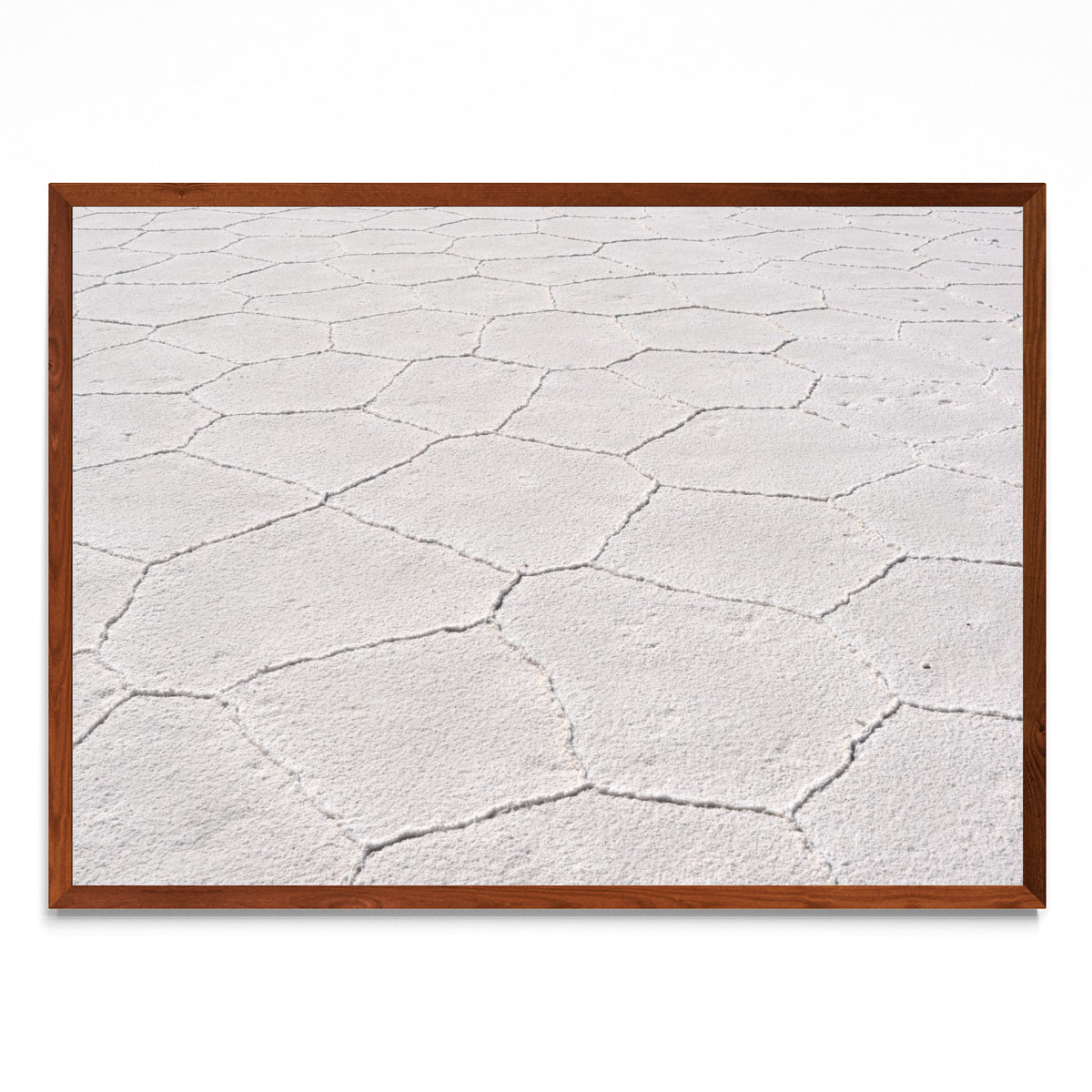 The Great Salt Flats - Paisaje MO