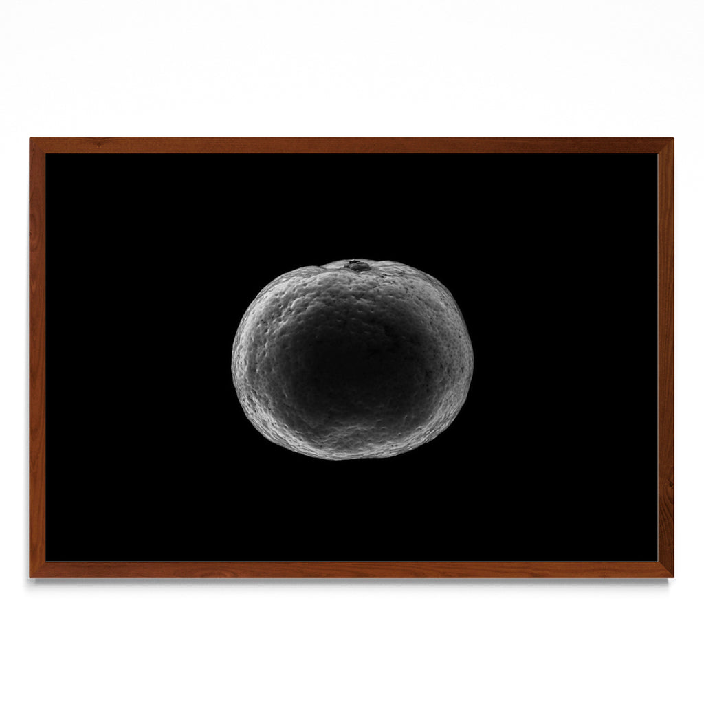 Black and white tangerine - FotoH MO