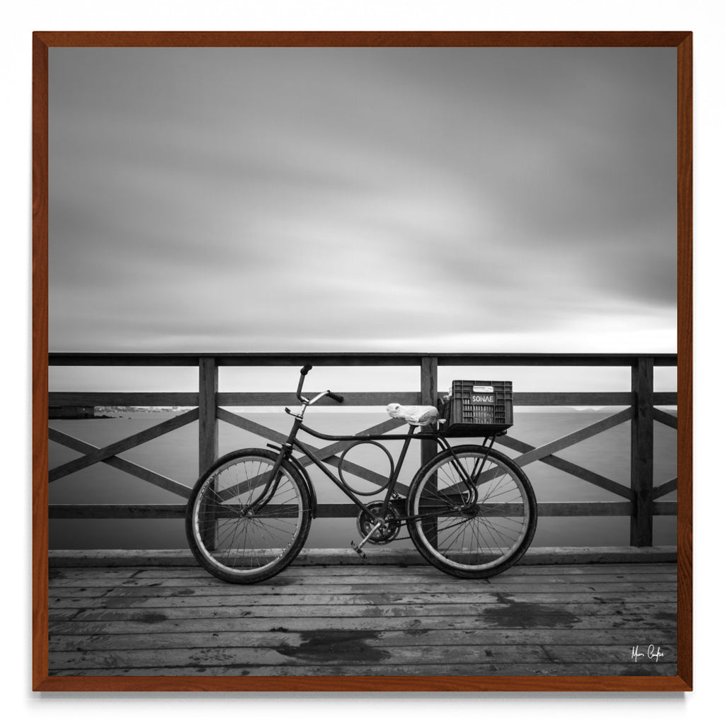 A BICICLETA E A CAIXA - cuadrado MO