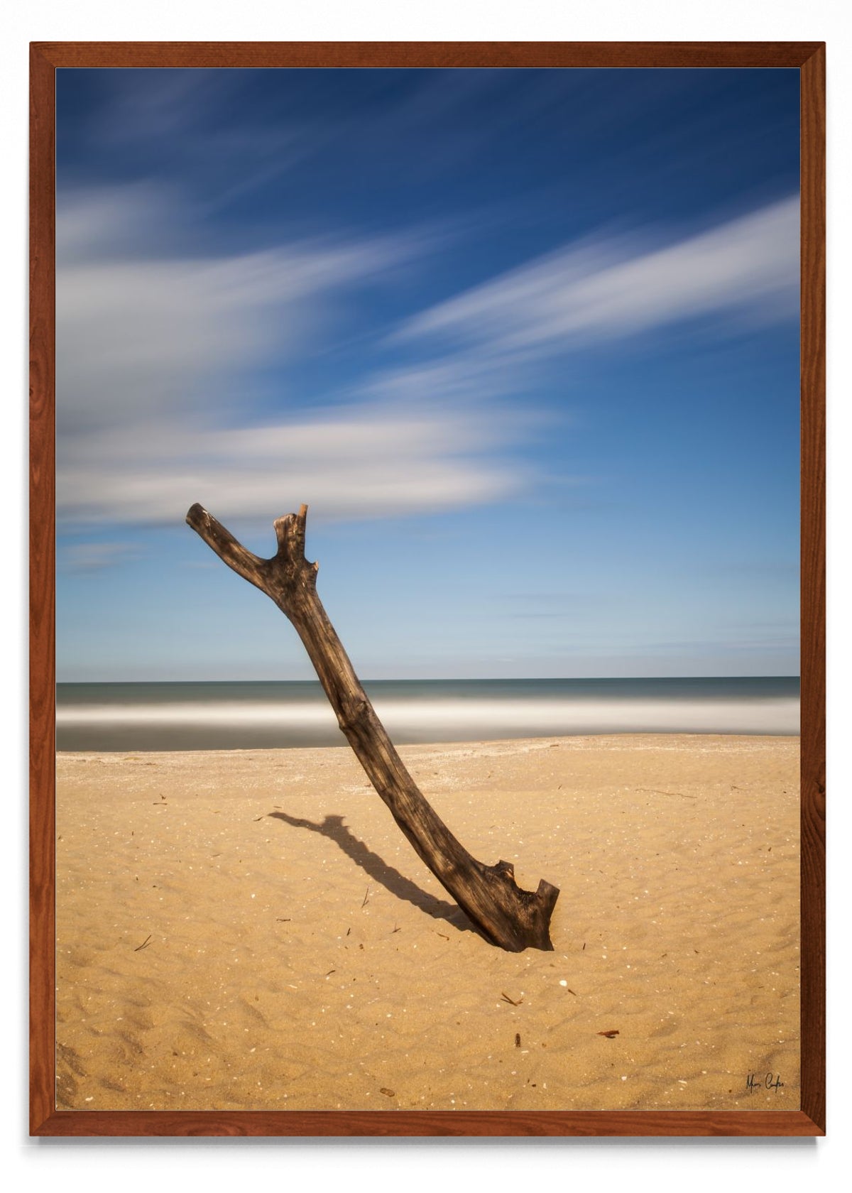 TRONCO NA AREIA - Retrato MO