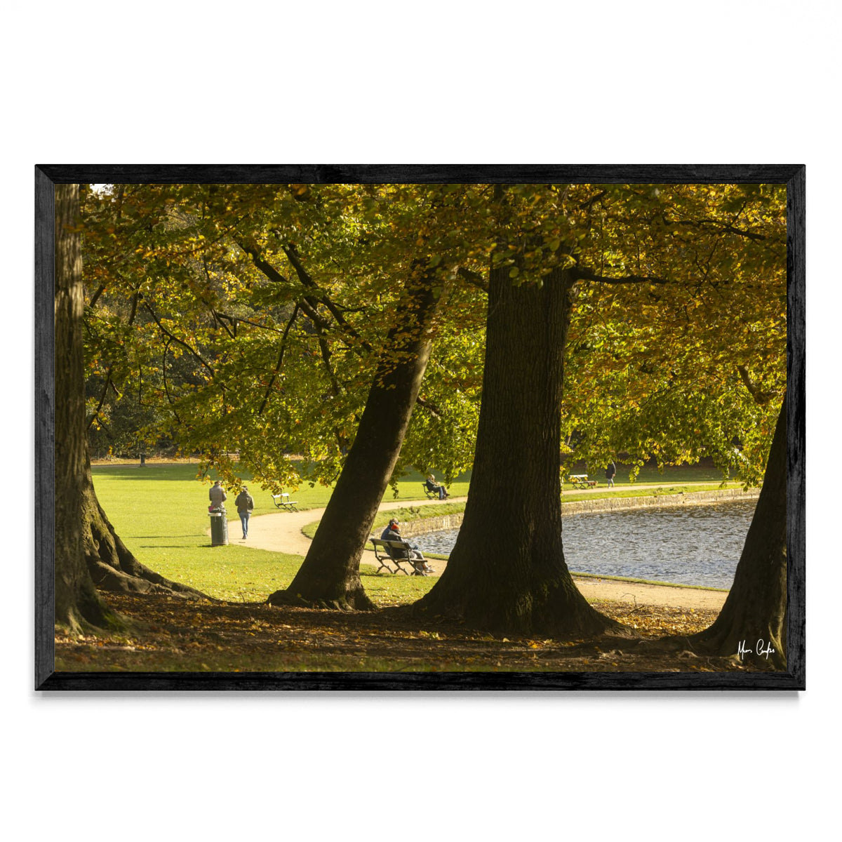 OTOÑO EN UN PARQUE BELGA - FotoH N