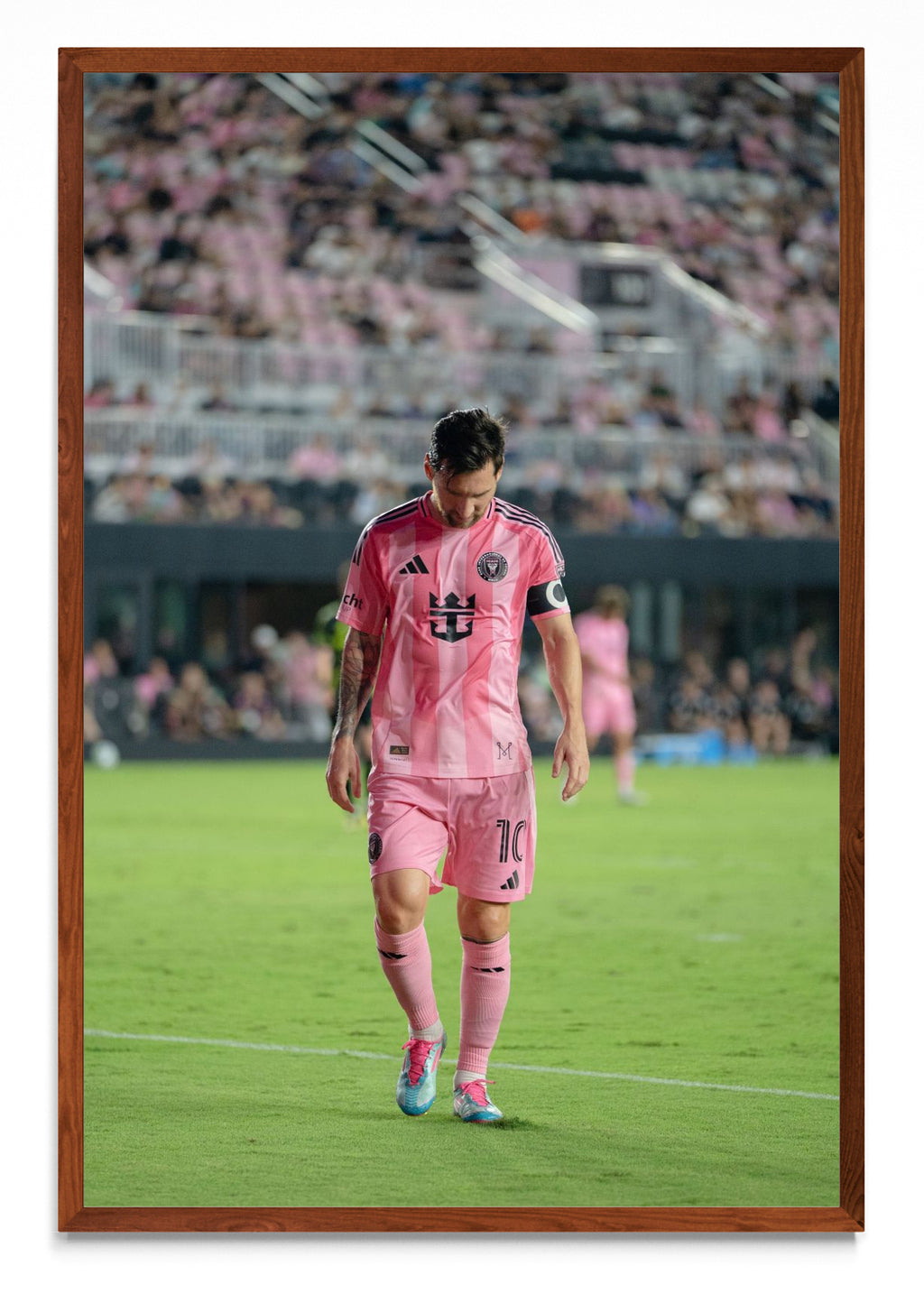 La calma del campeón - FotoV MO