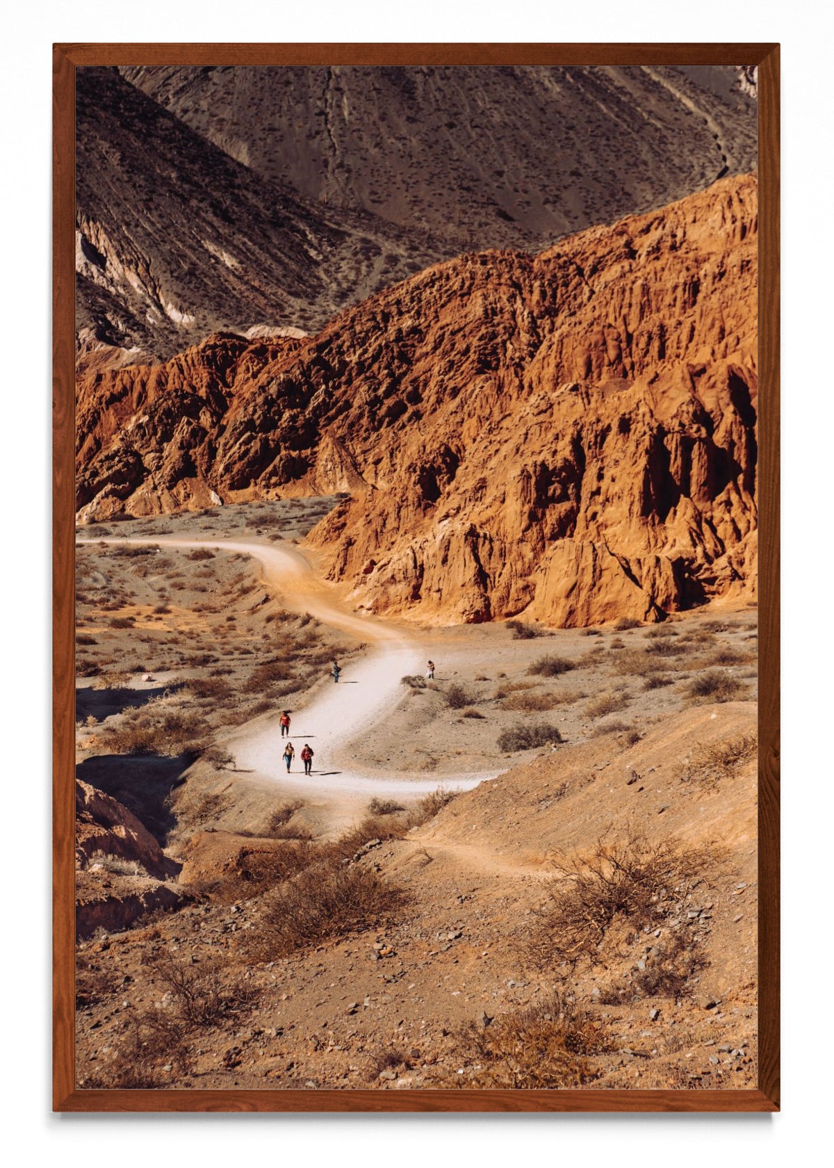 Sendero en Jujuy - FotoV MO