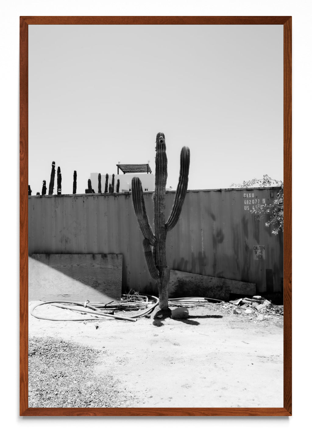 Cerritos, Baja California Sur, México - FotoV MO