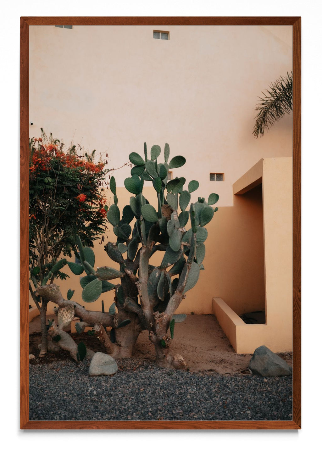Cerritos, Baja California Sur, México - FotoV MO
