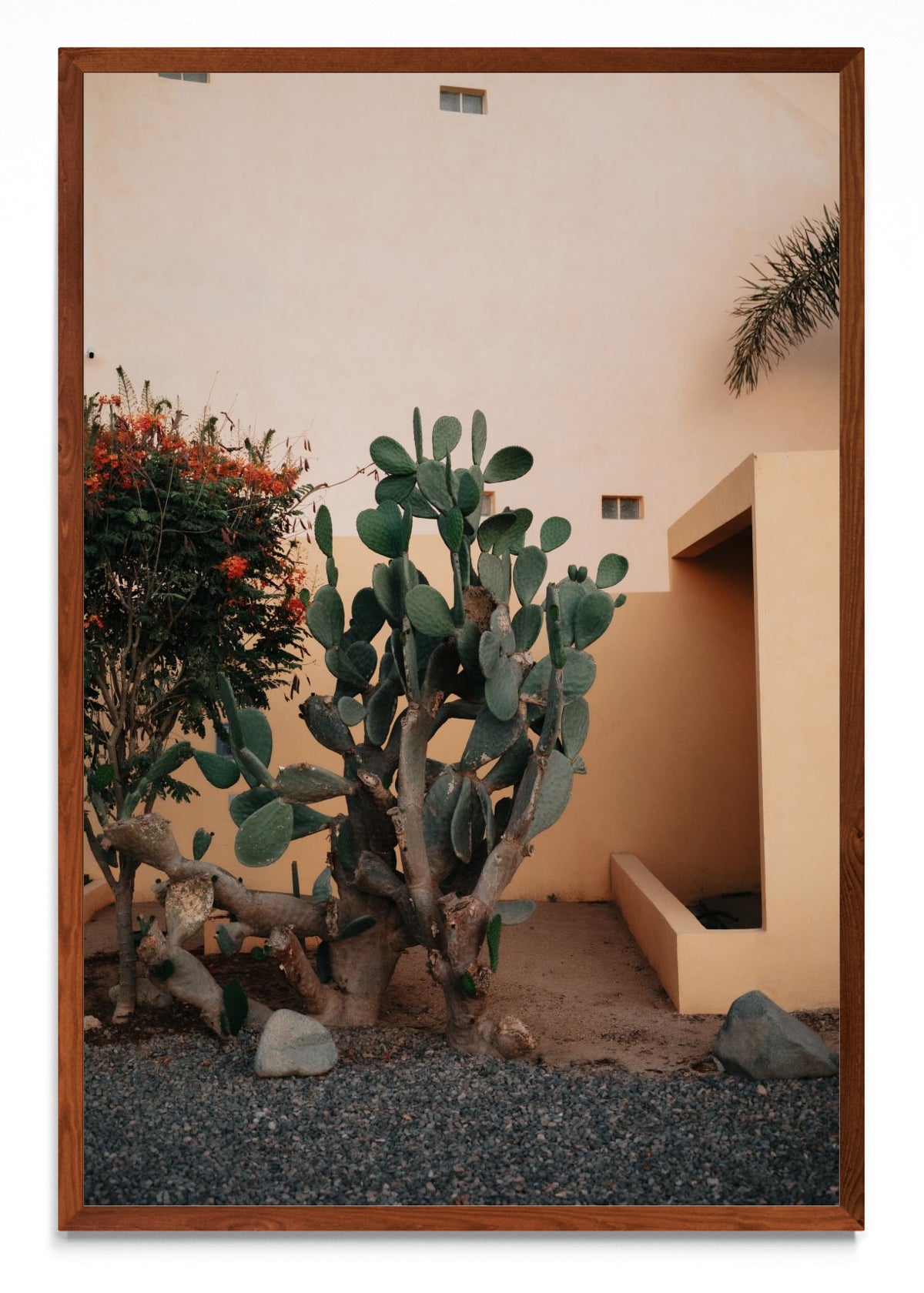 Cerritos, Baja California Sur, México - FotoV MO